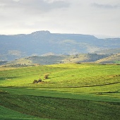 Paesaggio agrario © Ivo Piras